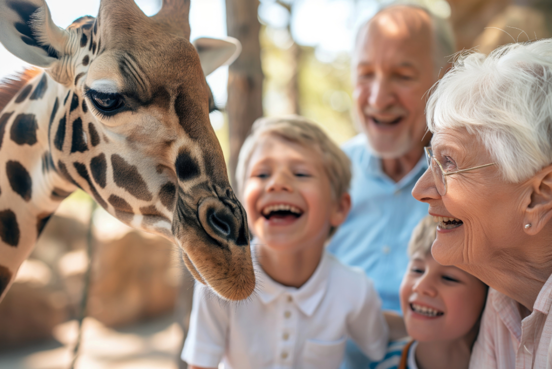 Family feeding a giraffe